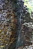 image_54858.jpg