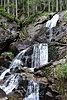 image_54859.jpg