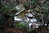 image_54861.jpg