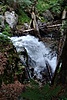 image_54862.jpg