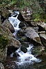 image_54863.jpg