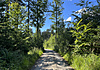 Isar 009_5784.jpg