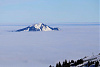 IMG_8965_gruenten.jpg