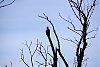 _SNY9679R.jpg