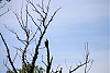 _SNY9664R.jpg