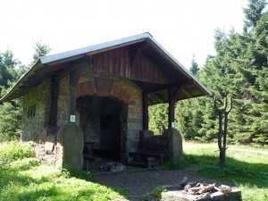 R033-Wachsenrasen-1.JPG
