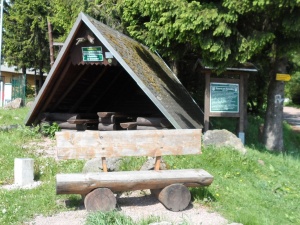 R062 grenzadler.JPG