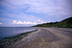 Küstenstreifen am Nordseeküsten-Radweg Küstenstreifen am Nordseeküsten-Radweg