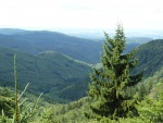 R018-Venetianerstein-2.JPG
