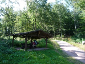 R006-1.JPG