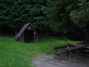 R022-Am-Jagdberg-1.JPG