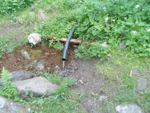 RW045 ebertswiese.JPG