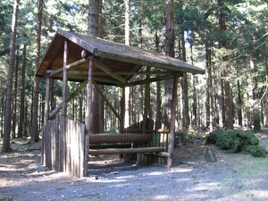 IMG 20100417 R069a.jpg