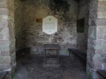 R033-Wachsenrasen-3.JPG