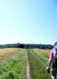 R001-Gr-Eichelberg-4.JPG